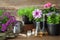 Seedling of garden plants and flowers, watering can and homeopathic remedies for plants.