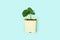 Seedling green sprout of cucumber with leaves in a yellow pot on a blu background. New life, birth. Plant growing. Copy space