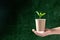 Seedling is growing in eco-friendly disposable cup made of fiber of bagasse and bamboo on table. Save the earth, waste reduction,