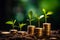 Seedling are growing on stacked of coins on green nature environment background