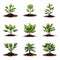 Seedling icon isolated on white background. Vector illustrations.