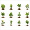 Seedling icon isolated on white background. Vector illustrations.