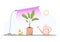 Seedling lamp. Growing gardening plants with purple light. Vegetarian and ecological products under phyto lamp. Vector