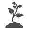 Seedling with many leaves solid icon, nature concept, Seeds sprout in ground sign on white background, sprout in soil