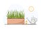 Seedling of onion in a pot. Growing gardening plants on the windowsill. Vegetarian and ecological products. Vector