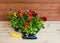 Seedling of pansies flowers in plastic pot and a garden shovel