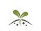 Seedling sprout icon. planting, farming and agriculture symbol. isolated vector image