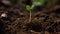 A seedling sprouts from the ground slowly growing taller and stronger created with Generative AI