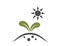 seedling under sun icon. plant sprout, planting, farming and agriculture symbol