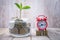 Seedlings on coins in glass jars and red alarm clocks on coins. Financial concepts, savings, financial investments, accounting and