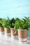 Seedlings of different aromatic herbs in paper cups with name labels on wooden table