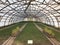 Seedlings of European spruce or Picea abies in the greenhouse of the nursery. Young plants in the greenhouse