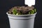 Seedlings germinating in a flower pot, the young shoots repelling the potting soil