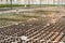 Seedlings in the greenhouse. half of the huge greenhouse in black seedlings with land. half a greenhouse in green grass lettuce se