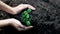 Seedlings growing in pots while the woman`s hand was about to plant in the fertile soil