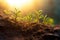 Seedlings growing in the soil under the rays of the sun. A new life is being born. Generative AI