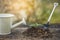 Seedlings that are growing in the soil with a watering can and a shovel in the background with morning light