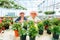 seedlings of indoor flowers two smiling female florists are sitting pretty after a working day