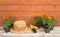 Seedlings marigold flowers, gardening tools and straw hat as a border on wooden background