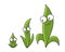 Seedlings mascot. Plant growth stages. Agricultural character. development. Harvest animation progression. Ripening