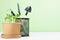 Seedlings peas in pot with gardening equipment on white wood table, green wall, copy space. Earth day background.