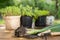 Seedlings, plants in pots and garden tools on the wooden table, green trees background - gardening concept