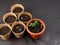 Seedlings in pots on the table. Background image. Copy space