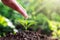 Seedlings on soil and hands, people pouring water, water cars, trees