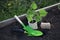 Seedlings Sprouting In Plastic pot and garden tools on flower bad Spring garden work concept