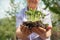 Seedlings in wrinkled hands. Small plant sprouts close up and copy space. The concept of spring planting