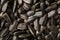 Seeds in a black shell as a background and texture, high detail. In full screen