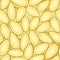 Seeds of a pumpkin seamless background