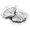 Seefood scallop mollusk, gastronomy sea food. Black line monochrome design in ink inking shape silhouette outline