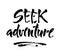 Seek adventure word lettering. Handwritten modern brush calligraphy. Vector