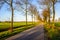 Seemingly endless country road in the Netherlands