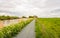 Seemingly endless cycle path next to a river and a