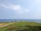 Seen from behind, people paragliding on the beach