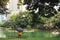 Seen from behind.Young woman with umbrella sitting near the pond in Lumpini park and Look forward . Sad and lonely