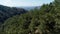 Seen from a mountain in aerial. Stock. Top view of exotic forests. Beautiful tropical forest on a Sunny day