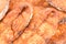 Seer Fish Fillets Fry Macro