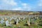 Sefid Chah ancient cemetery, Mazandaran, Iran