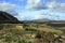 Segesta temple