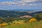 Seggiano, Grosseto, Tuscany, Italy: landscape of the countryside with the ancient hill town