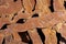 Segmented rusty background