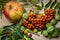 Segments of mountain ash, fruit, berries, large apple