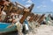 Seines or trawls or fishnets stuck on the old wooden keel of shipwreck that lay on the beach