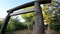 Seiryu Shrine and Kenashi Pond Seiryu Shrine, a shrine in Takasago, Katsushika-ku, Tokyo, Japan.