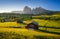 Seiser Alm Alpe di Siusi with Langkofel mountain at sunrise in