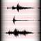 Seismogram recording.