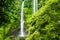 Sekumpul waterfall in Bali surrounded by tropical forest
